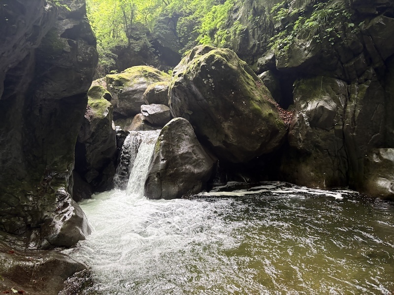 足尾山塊の沢 足尾山塊 | 渓人「流」